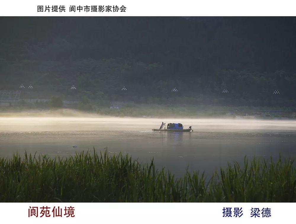 救援小蝙蝠